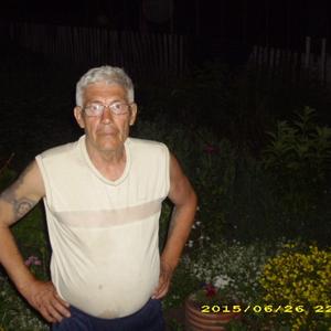 Владимир Плотников, 66 лет, Тюмень