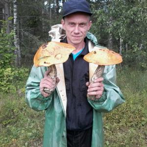 Александр, 50 лет, Волоколамск