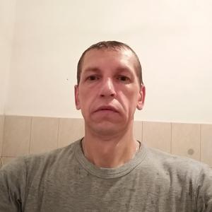 Евгений, 49 лет, Солнечногорск