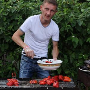 Анатолий , 42 года, Домодедово