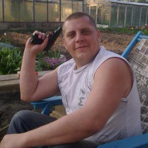 Александр Ханьков, 45 лет, Кириши