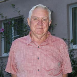 Леонид, 76 лет, Новороссийск