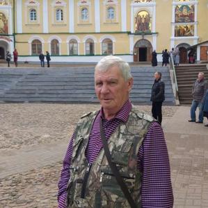 Сергей, 69 лет, Псков