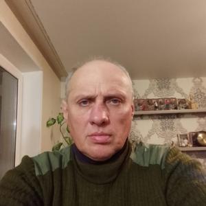 Владимир, 51 год, Владимир