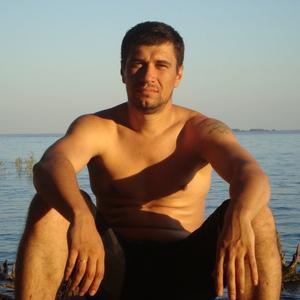 Александр, 46 лет, Череповец