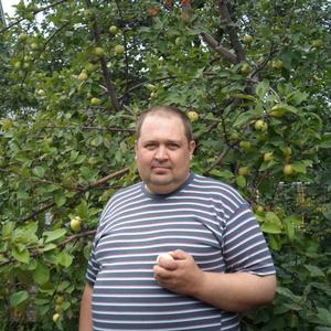 Владимир, 48 лет, Ухта