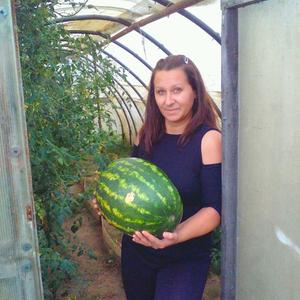 Аня, 37 лет, Псков