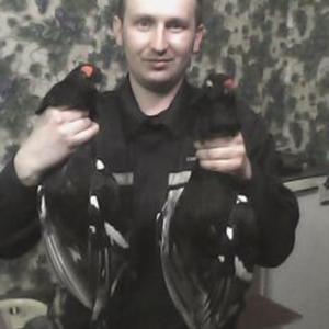 Иван Михайлов, 40 лет, Великий Новгород