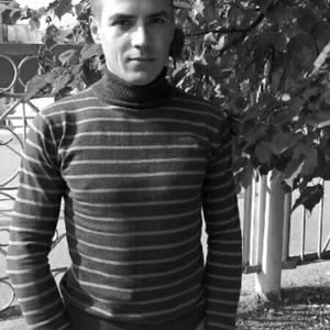 Владимир, 31 год, Ярославль