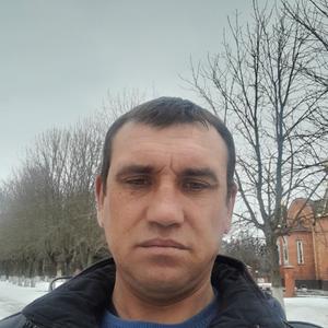 Сергей, 41 год, Конышевка