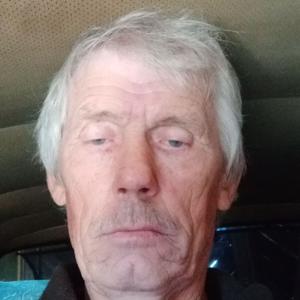 Владимир Козменков, 63 года, Новосибирск