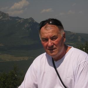 Александр Буров, 73 года, Котельники