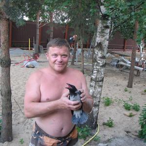 Виктор, 54 года, Абрамцево