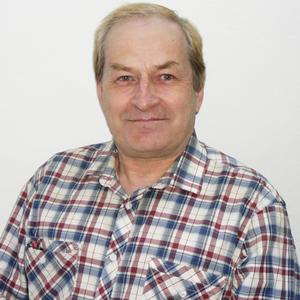 Сергей, 61 год, Котлас