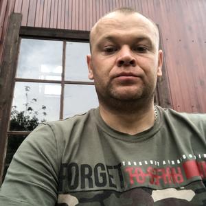 Роман, 36 лет, Сургут
