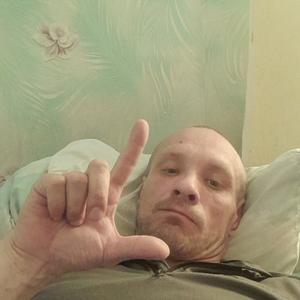 Валерадость Подполье, 43 года, Вологда