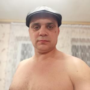 Николай, 44 года, Курск