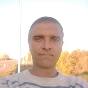 Николай Ермаков, 39 лет, Бийск