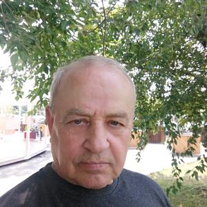 Владимир, 73 года, Красноярск