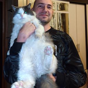 Руслан, 34 года, Жуков