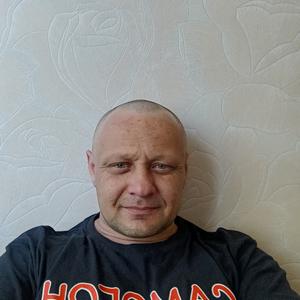 Андрей, 36 лет, Заринск