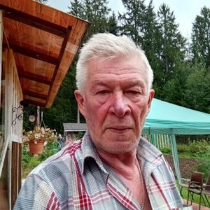 Валентин Апон, 68 лет, Выборг