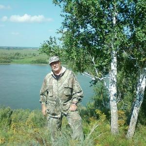 Полын, 62 года, Омск