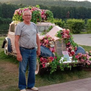 Юрий, 61 год, Зеленогорск