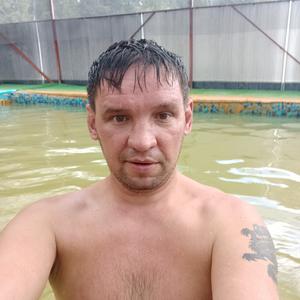 Алексей Ясный, 41 год, Хабаровск