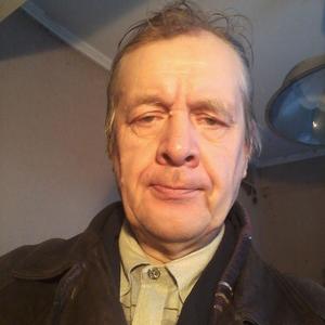 Александр Палатный, 68 лет, Мытищи