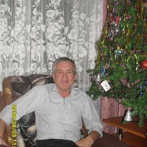 Василий, 70 лет, Гаджиево