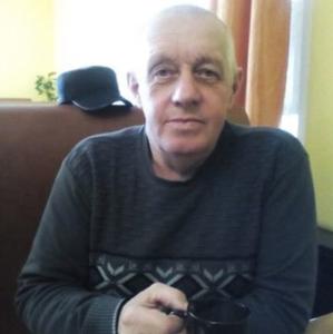 Александр, 66 лет, Заринск