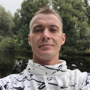 Dmitry, 41 год, Тосно