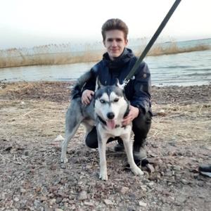 Дмитрий, 25 лет, Оленегорск