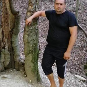 Дмитрий, 40 лет, Каменск-Шахтинский