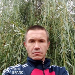 Георгий, 38 лет, Щекино
