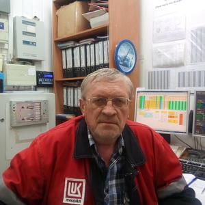 Власов Игорь, 70 лет, Выльгорт