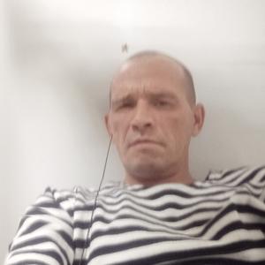 Роман, 44 года, Рыбинск