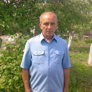 Александр, 73 года, Челябинск