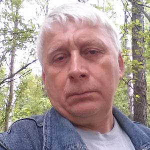 Александр, 54 года, Гусь-Хрустальный