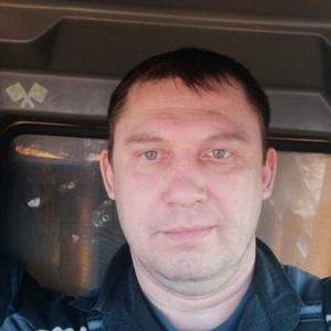 Vasiliy, 41 год, Осинники