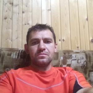 Евгений Балашов, 42 года, Кольчугино