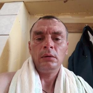 Аркадий, 43 года, Пермь