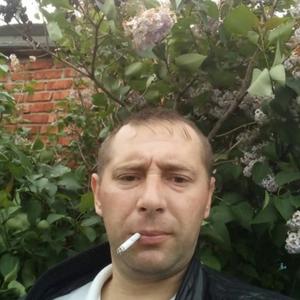 Евгений, 38 лет, Выборг