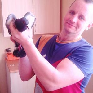 Парни в Сясьстрой: Николай, 40 - ищет девушку из Сясьстрой