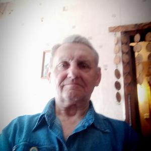 Владимир, 77 лет, Зимовники
