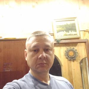 Владимир, 46 лет, Щелково