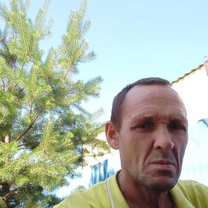 Роман, 51 год, Волгоград