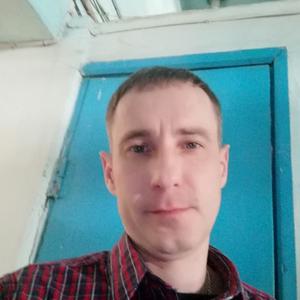 Сергей, 41 год, Ишим