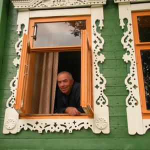 Николай, 74 года, Москва